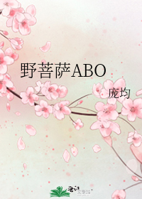 野菩萨ABO