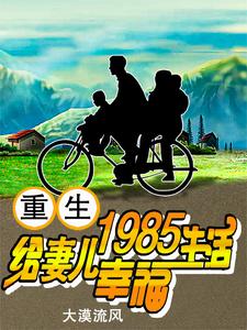 重生1985，给妻儿幸福生活