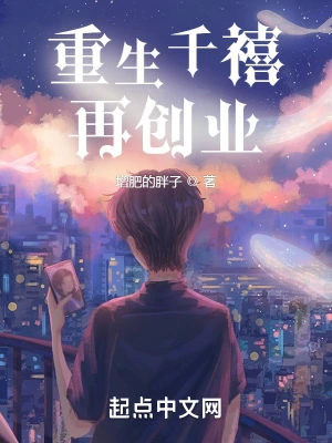 重生千禧再创业