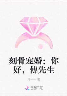 刻骨宠婚：你好，傅先生