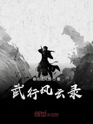 武行风云录