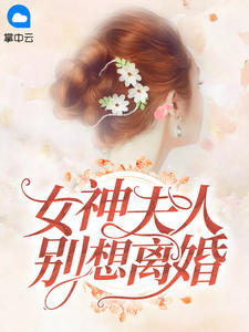 女神夫人别想离婚宋初九萧墨清