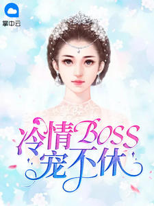 冷情BOSS宠不休林语冉言斯宸