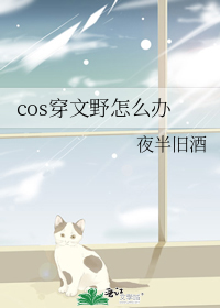 cos穿文野怎么办